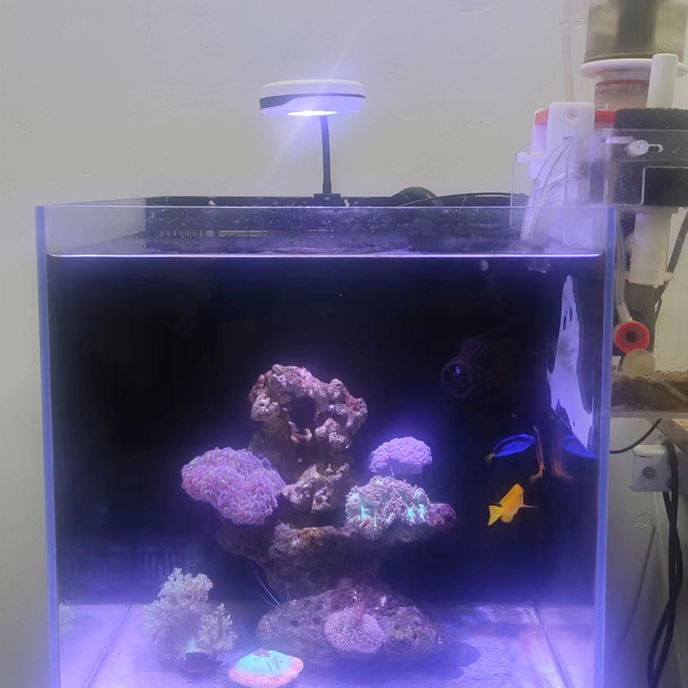 Lampa do refugium Spectra 20W  – Refugium Light Nano recenzja i cena