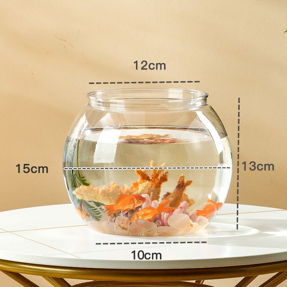 Akwarium Domowe Przezroczyste  – Aquarium Goldfish recenzja i cena