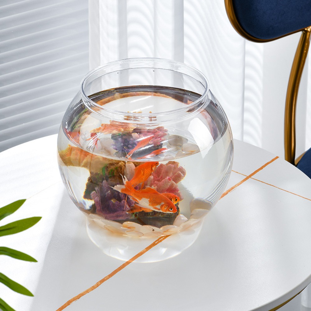 Akwarium Domowe Przezroczyste  – Aquarium Goldfish recenzja i cena