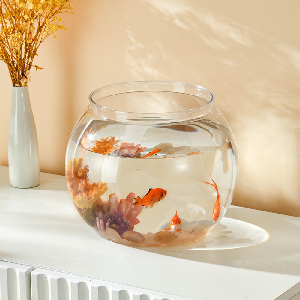 Akwarium Domowe Przezroczyste  – Aquarium Goldfish recenzja i cena