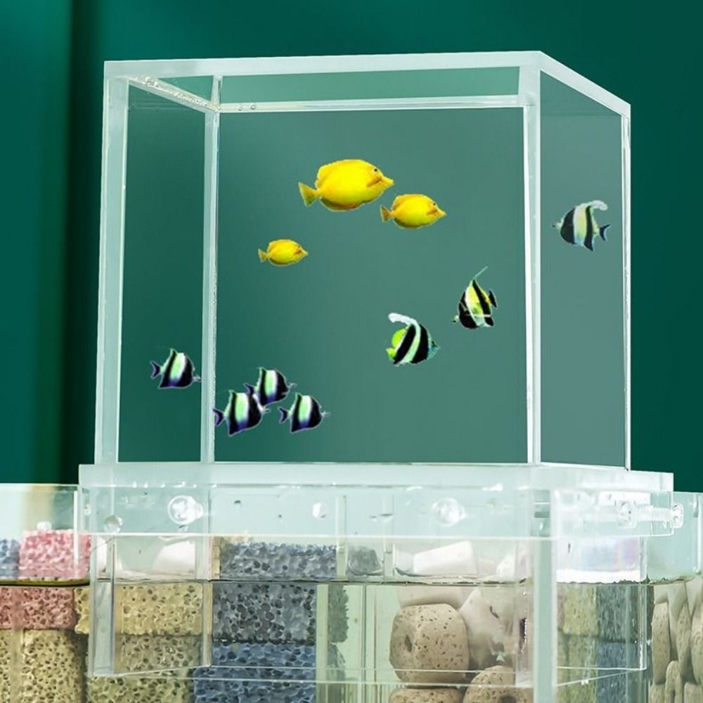 Akwarium z podciśnieniem do ar – Aquarium Goldfish recenzja i cena