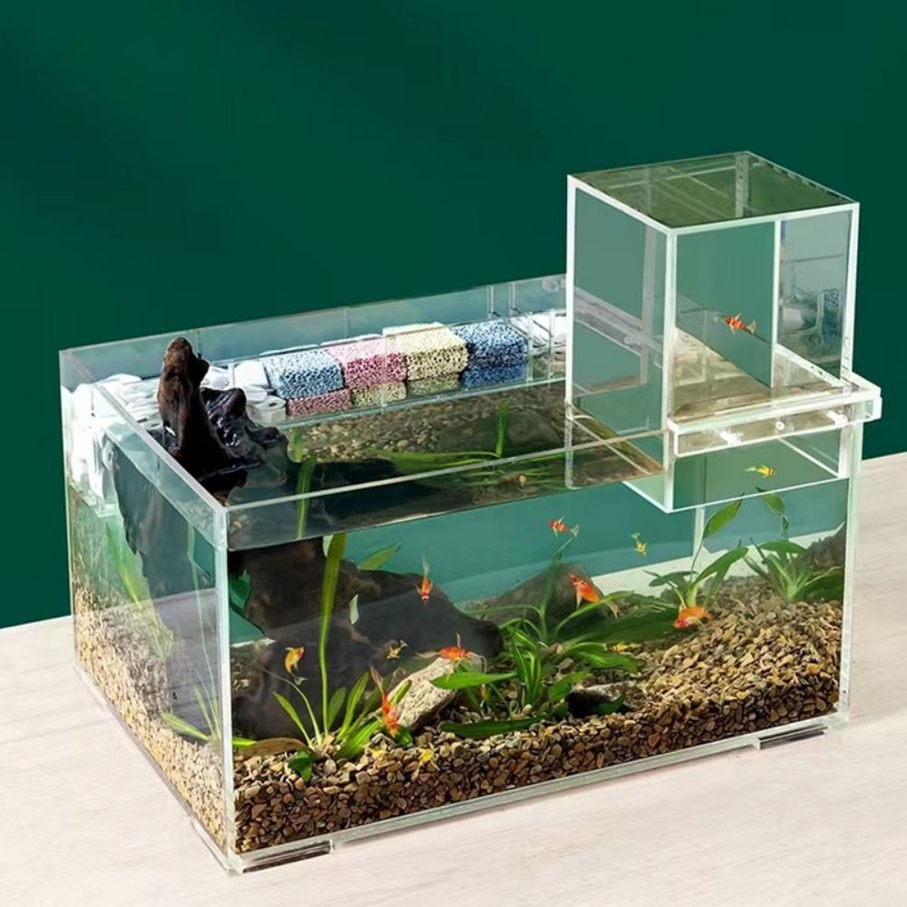Akwarium z podciśnieniem do ar – Aquarium Goldfish recenzja i cena