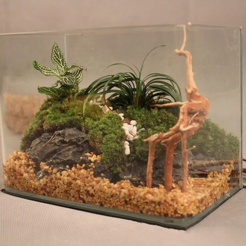 Naturalne drzewo pnia Driftwoo – Aquarium Fish Tank Price recenzja i cena
