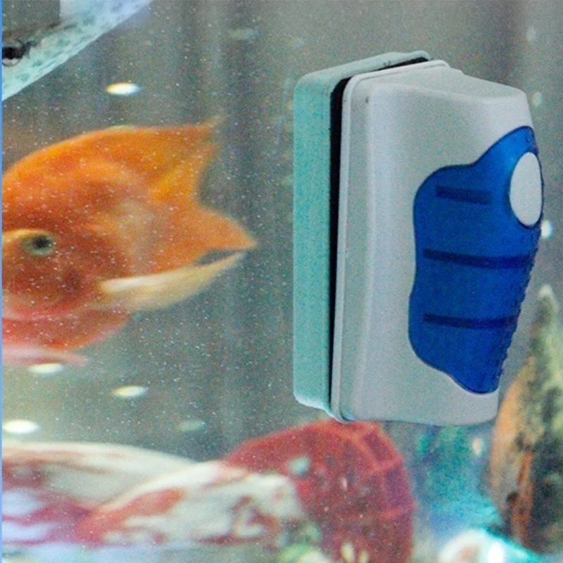 Skrobak do akwarium pływający  – Aquarium Fish Diseases recenzja i cena