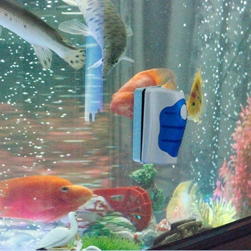 Skrobak do akwarium pływający  – Aquarium Fish Diseases recenzja i cena