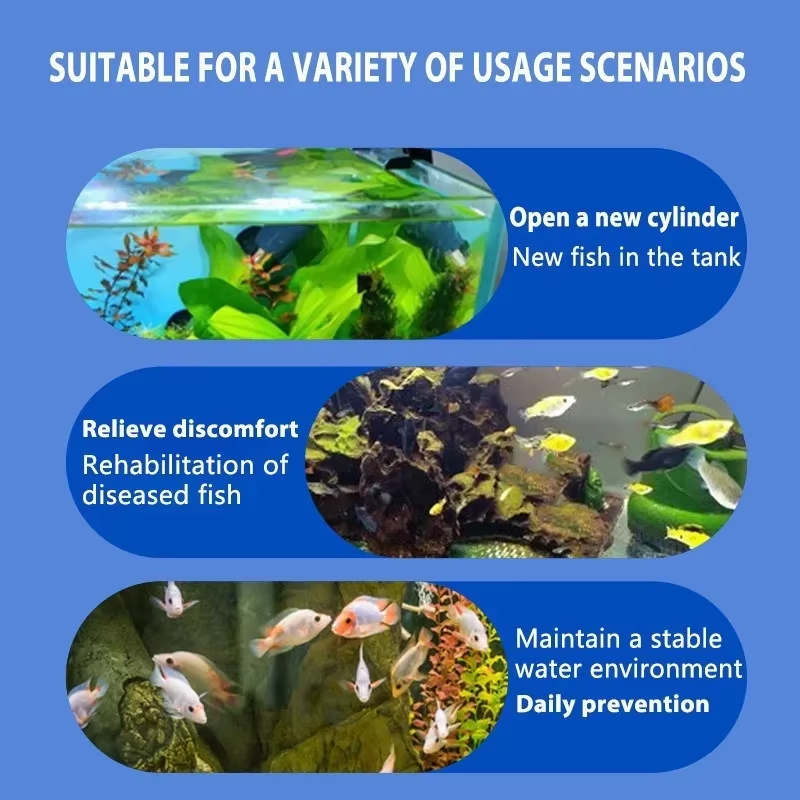 Leczenie chorób ryb SIKEZHAN i – Aquarium Fish Diseases recenzja i cena