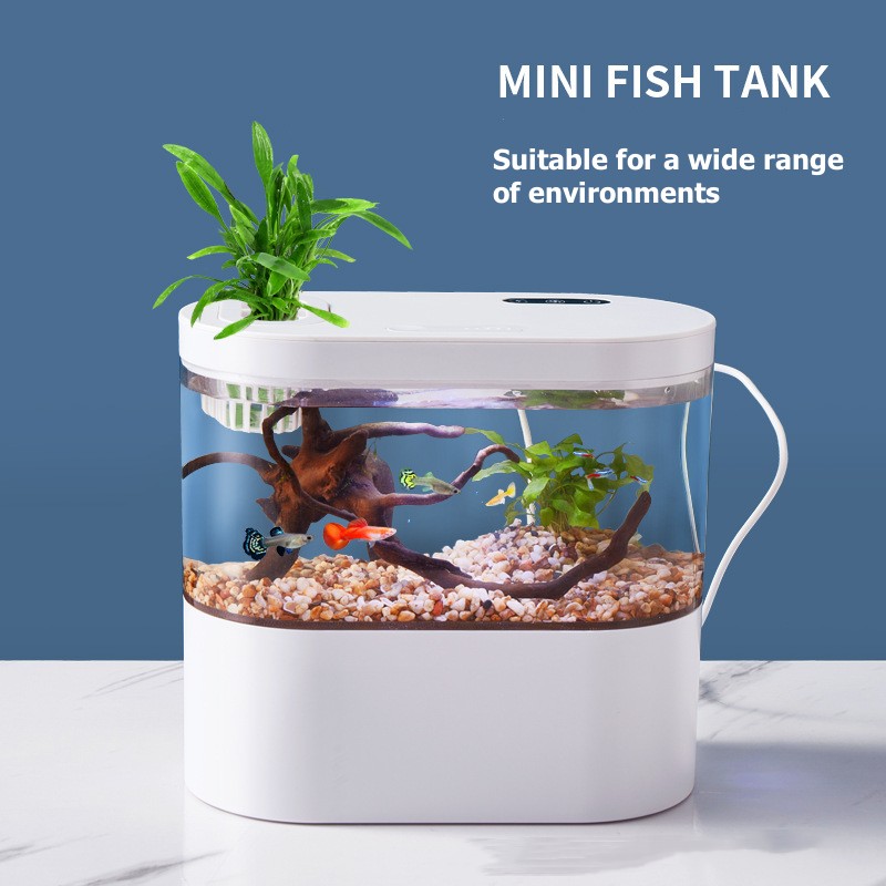 Mini Akwarium Biurkowe z Syste – Aquarium Goldfish recenzja i cena