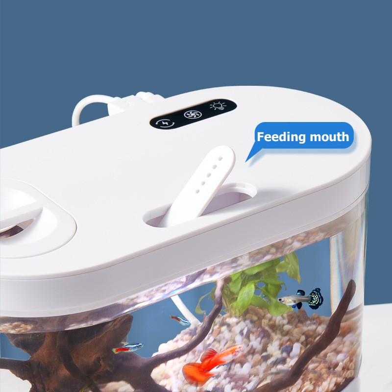 Mini Akwarium Biurkowe z Syste – Aquarium Goldfish recenzja i cena