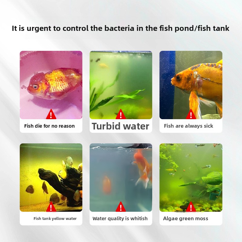 Sól akwariowa HUACHU do ryb sł – Aquarium Fish Diseases recenzja i cena