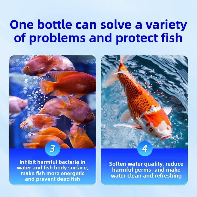 Sól akwariowa HUACHU do ryb sł – Aquarium Fish Diseases recenzja i cena