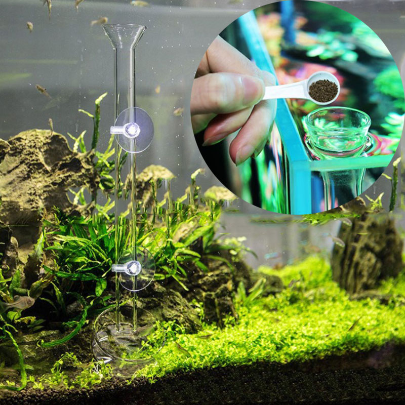 Szklane akwarium podajnik Tube – Aquarium Fish Auto Feeder recenzja i cena