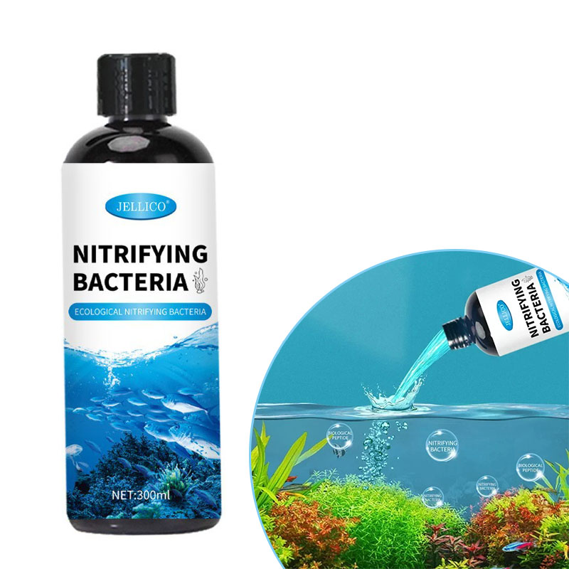 Bakterie nitryfikacyjne Płynny – Aquarium Fish Diseases recenzja i cena