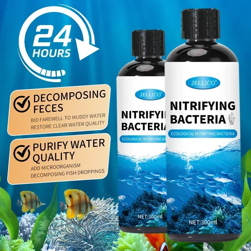 Bakterie nitryfikacyjne Płynny – Aquarium Fish Diseases recenzja i cena