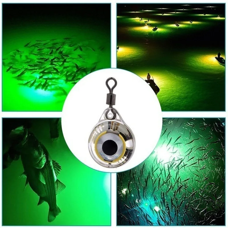Nocne wędkowanie LED-owe świat – Aquarium Fish Diseases recenzja i cena