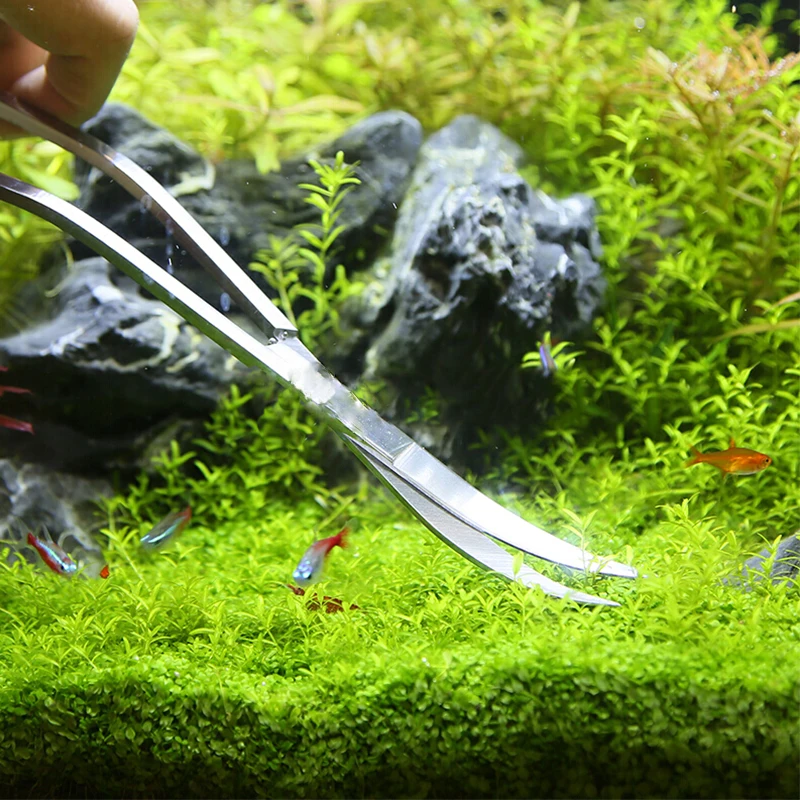 Nożyce do akwarium Pęseta do a – Aquarium Fish Diseases recenzja i cena