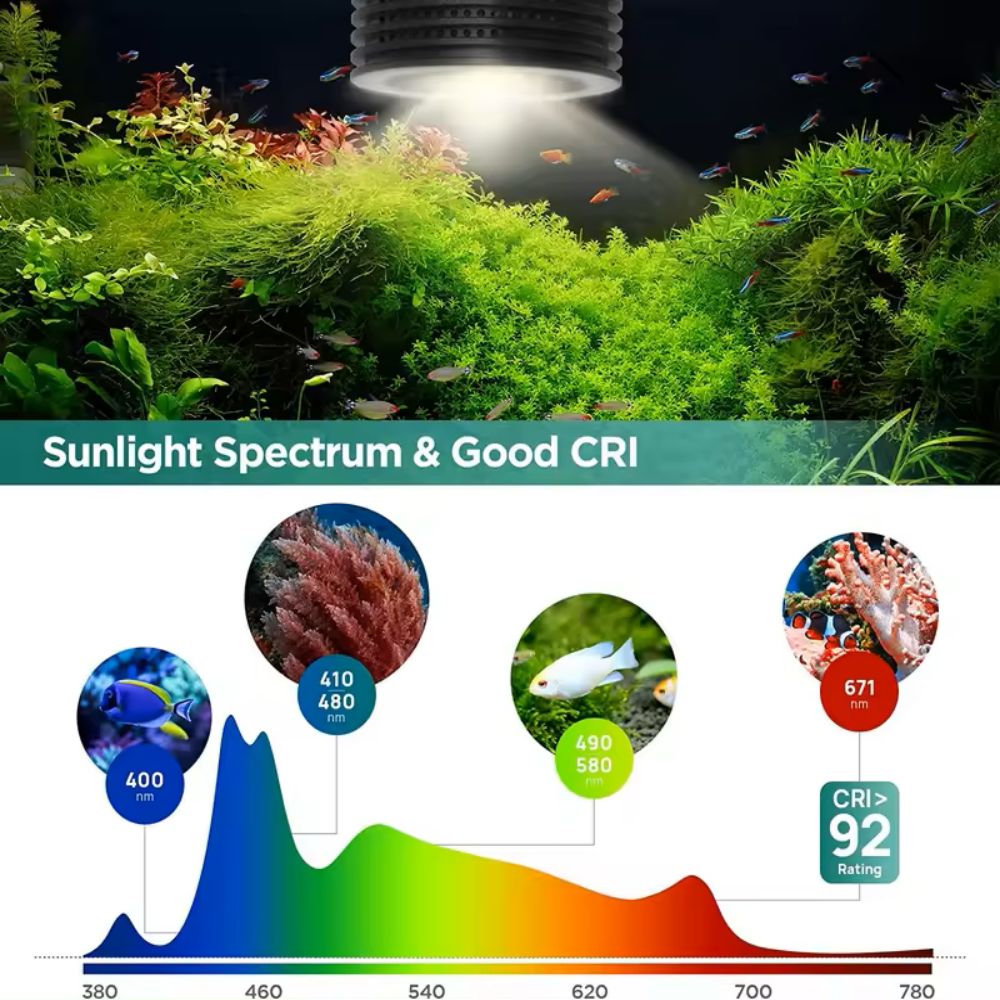 Lominie Asta 20 Freshwater 18W – Refugium Light Nano recenzja i cena