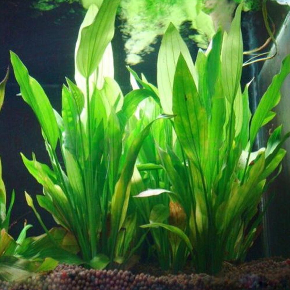 15cm sztuczne akwarium rośliny – Aquarium Fish Tank Price recenzja i cena