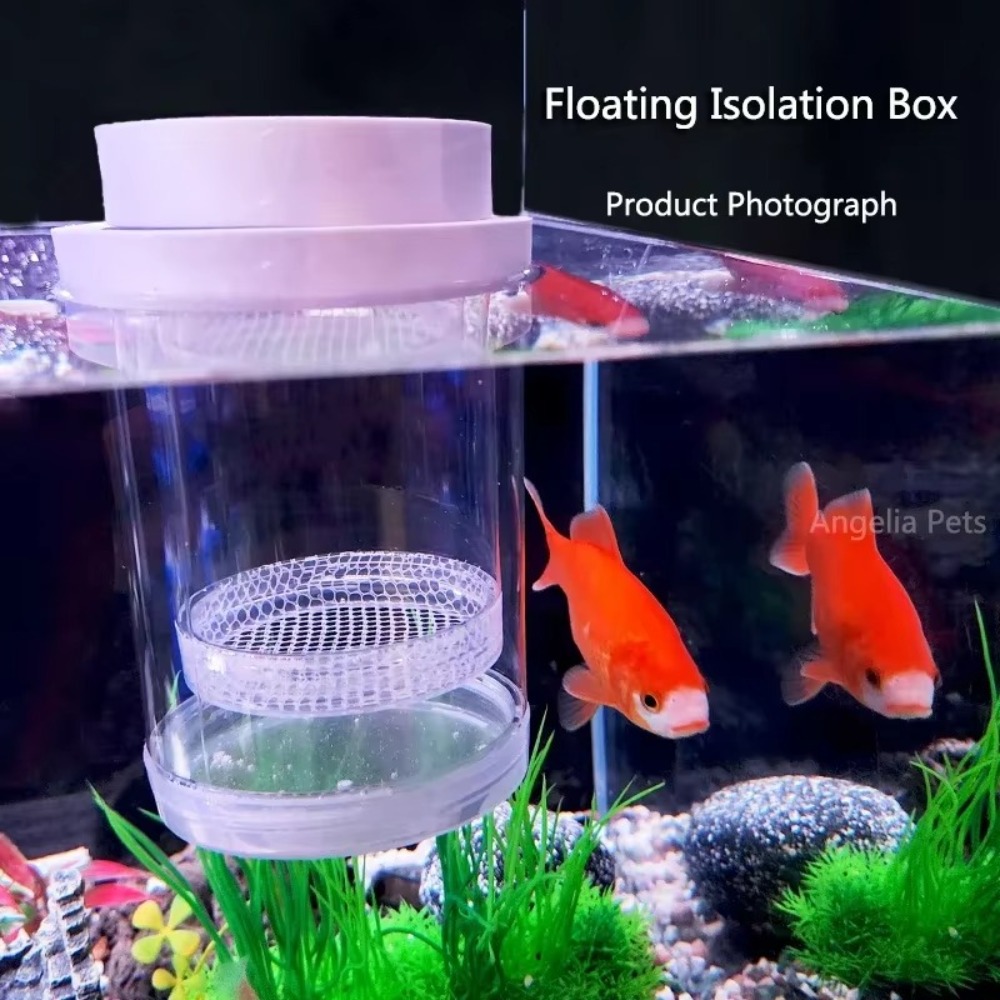 Plastikowe pływające pudełko i – Aquarium Fish Auto Feeder recenzja i cena