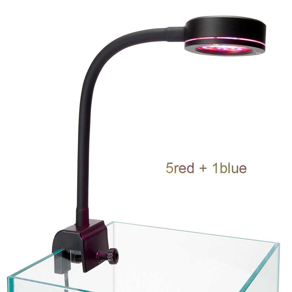 Nowa lampa akwariowa Nano 6X3W – Refugium Light Nano recenzja i cena
