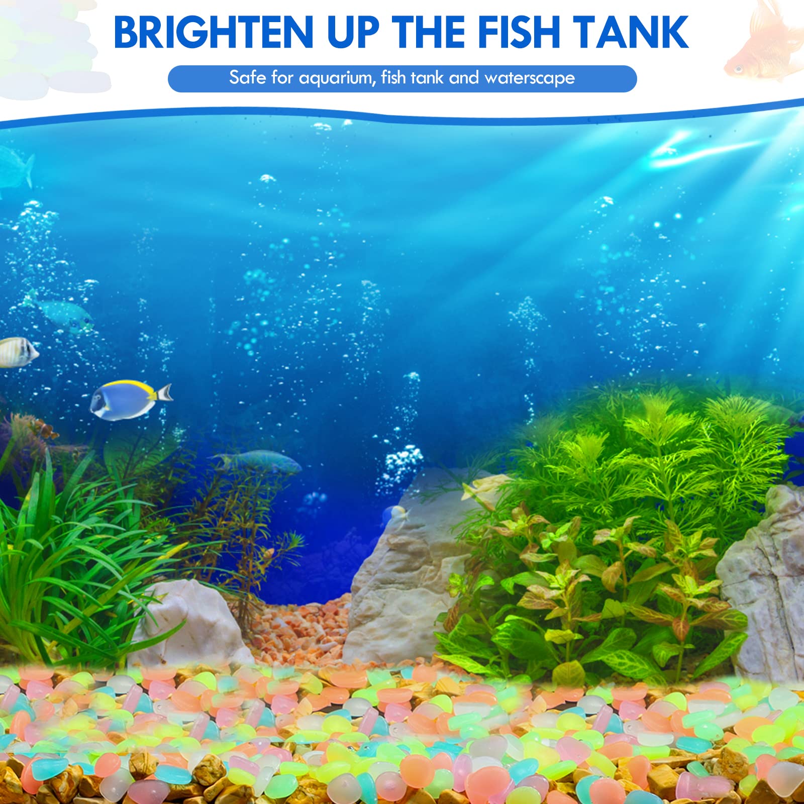 100 sztuk świecących w ciemnoś – Aquarium Fish Fishing recenzja i cena