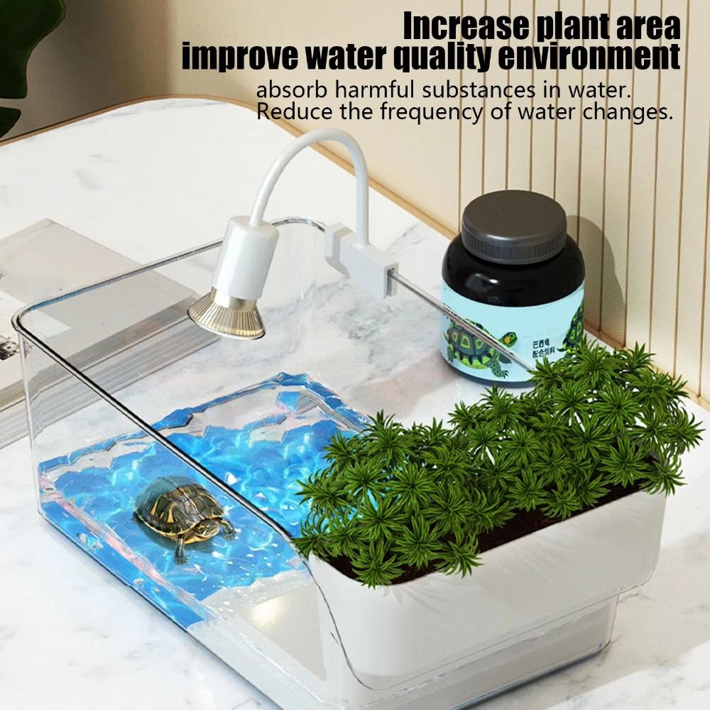 Przezroczysty terrarium dla żó – Aquarium Goldfish recenzja i cena