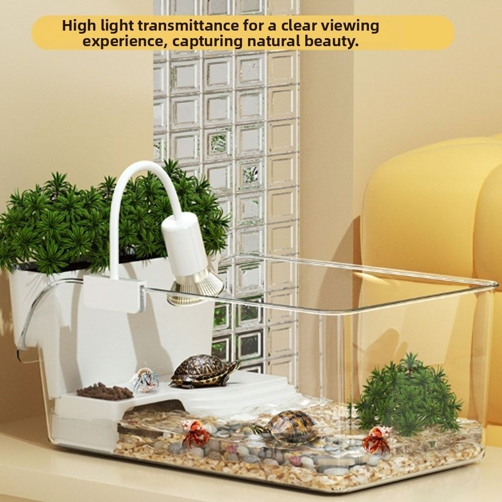 Przezroczysty terrarium dla żó – Aquarium Goldfish recenzja i cena
