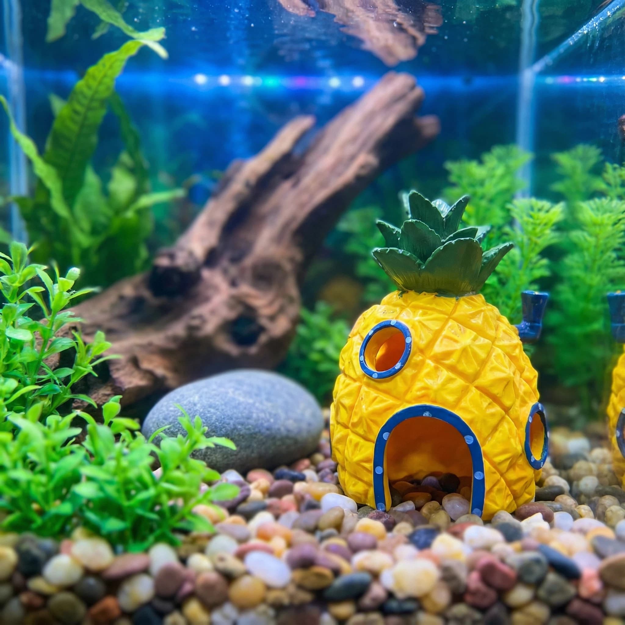 Dekoracja akwariowa w kształci – Aquarium Fish Hide recenzja i cena