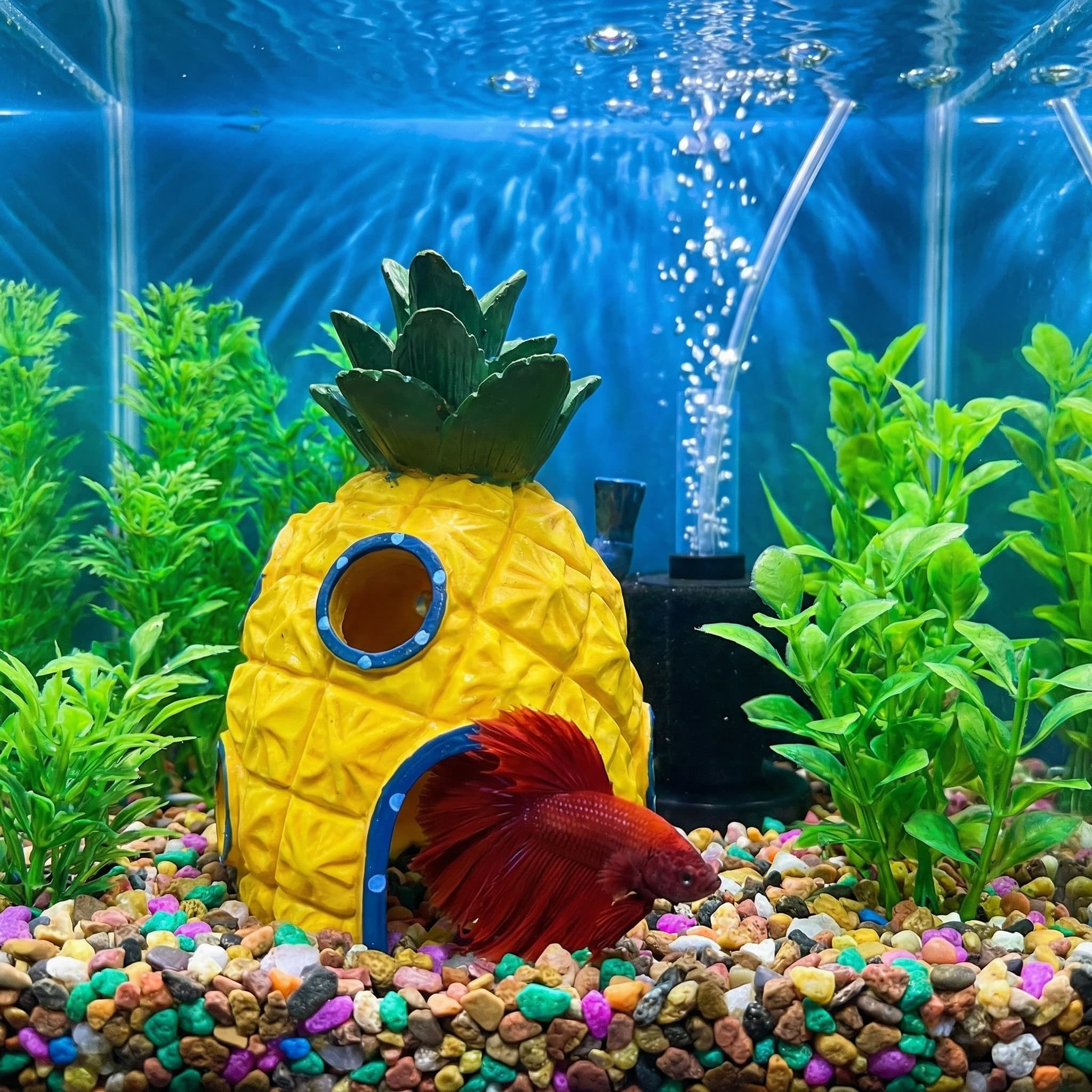 Dekoracja akwariowa w kształci – Aquarium Fish Hide recenzja i cena