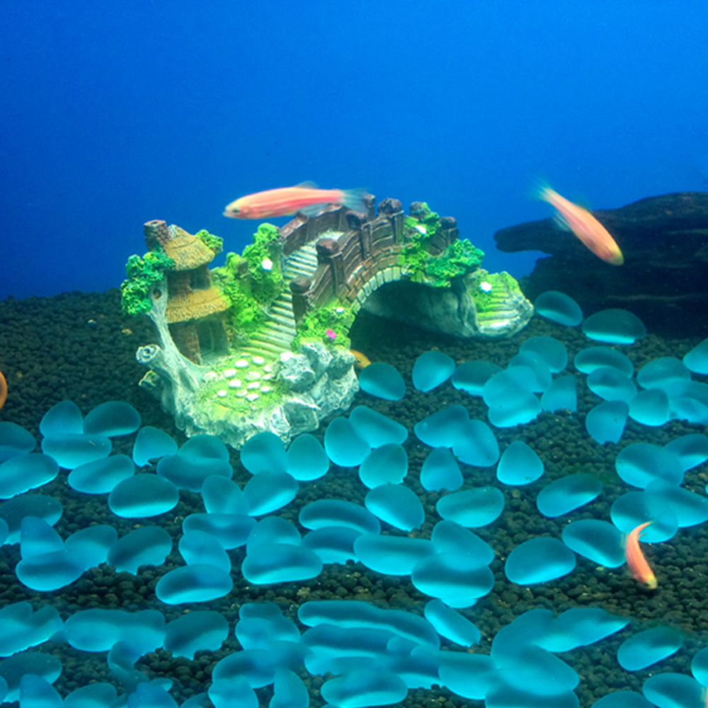 Akcesoria do akwarium Arbor Tr – Aquarium Fish Tank Price recenzja i cena