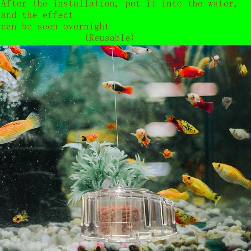 Roślina akwariowa pułapka na ś – Aquarium Fish Diseases recenzja i cena