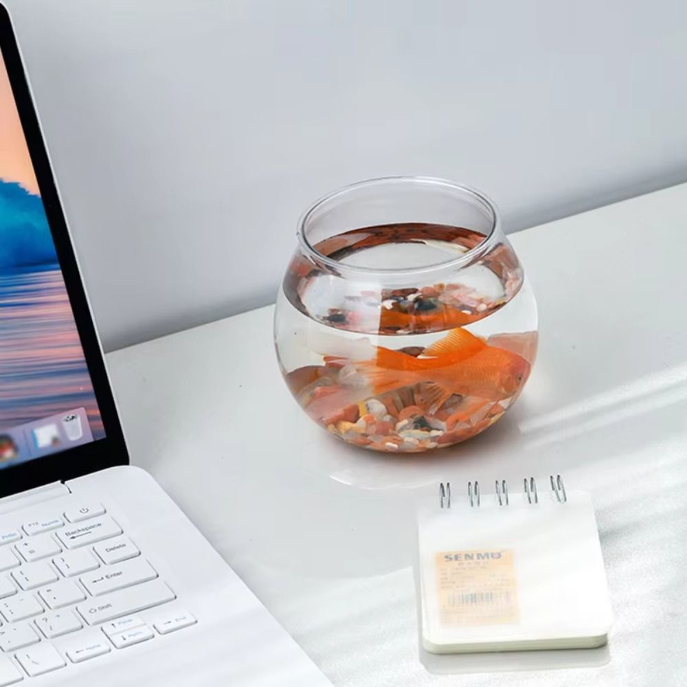 Nowe Przezroczyste Akwarium Ok – Aquarium Goldfish recenzja i cena