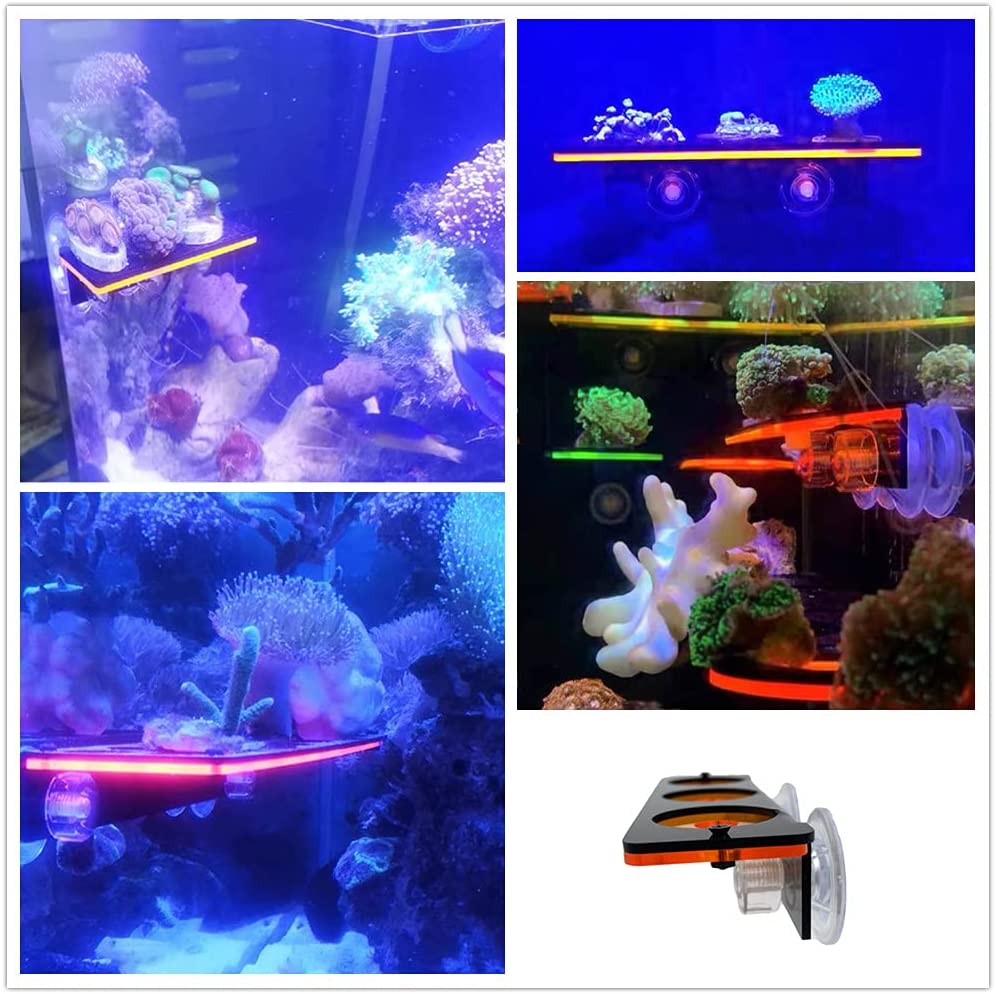 Fluorescencyjny koralowy wspor – Aquarium Fish Tank Price recenzja i cena