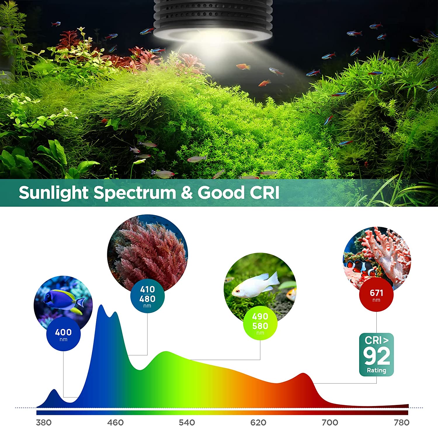 Lominie Asta 20 słodkowodne 18 – Refugium Light Nano recenzja i cena