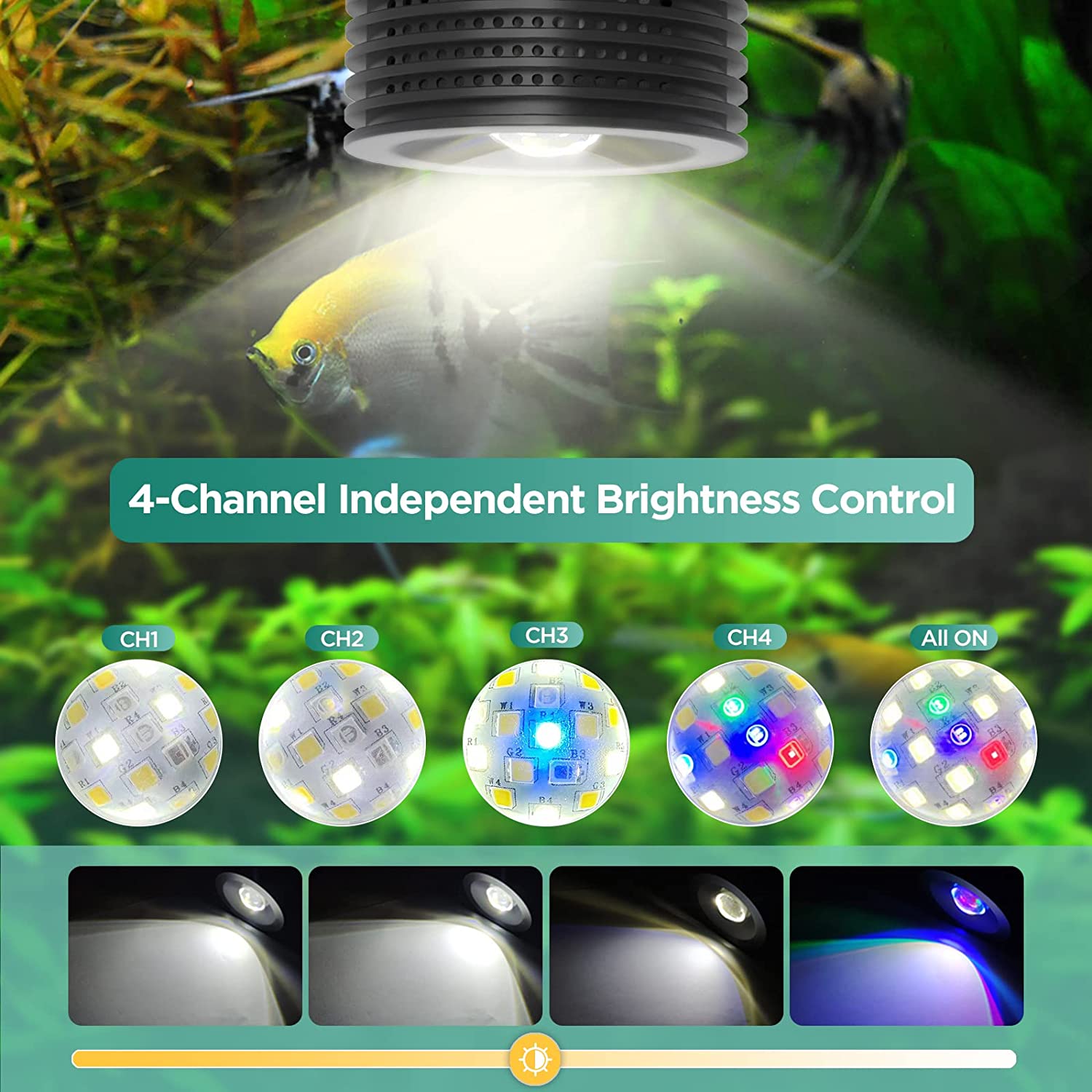 Lominie Asta 20 słodkowodne 18 – Refugium Light Nano recenzja i cena