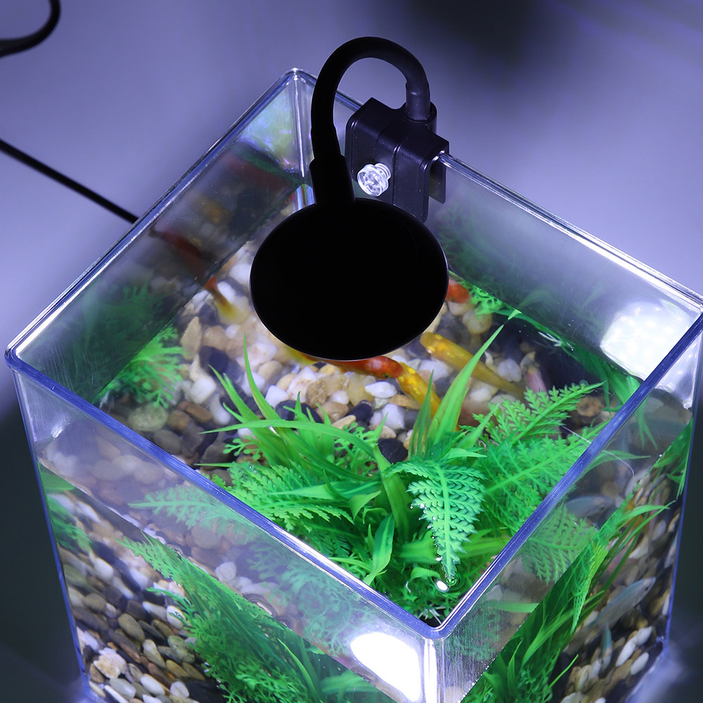 Pulpit, USB zestaw do akwarium – Aquarium Goldfish recenzja i cena