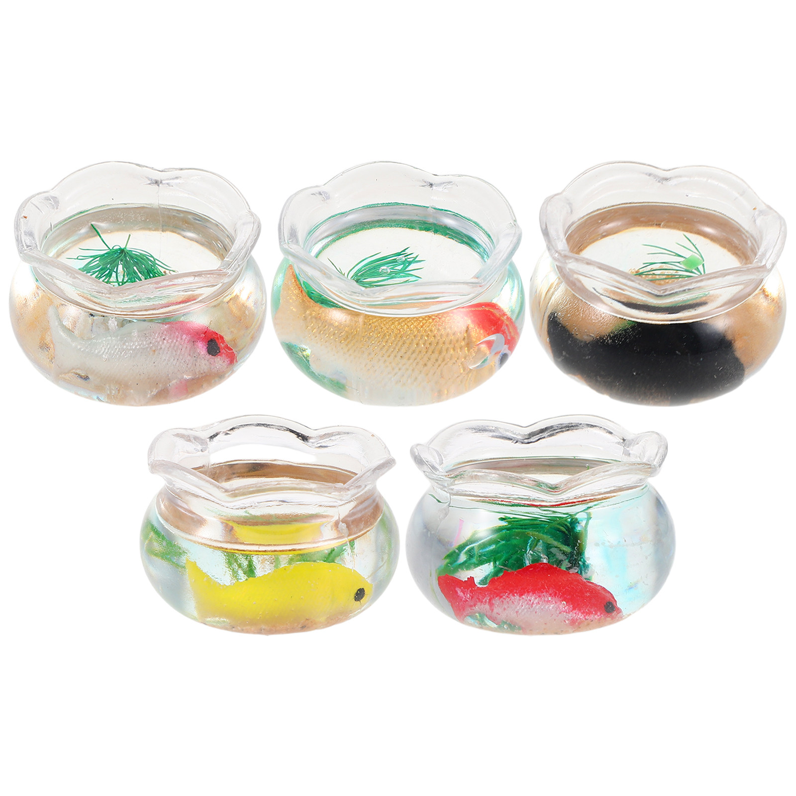 5 szt. miniaturowych akwariów  – Aquarium Goldfish recenzja i cena